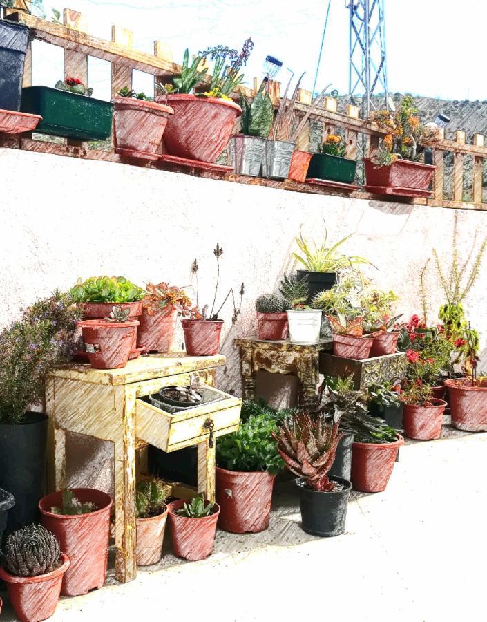 Casa Aguila 2.0 Bed & Breakfast Los Valverde ภายนอก รูปภาพ