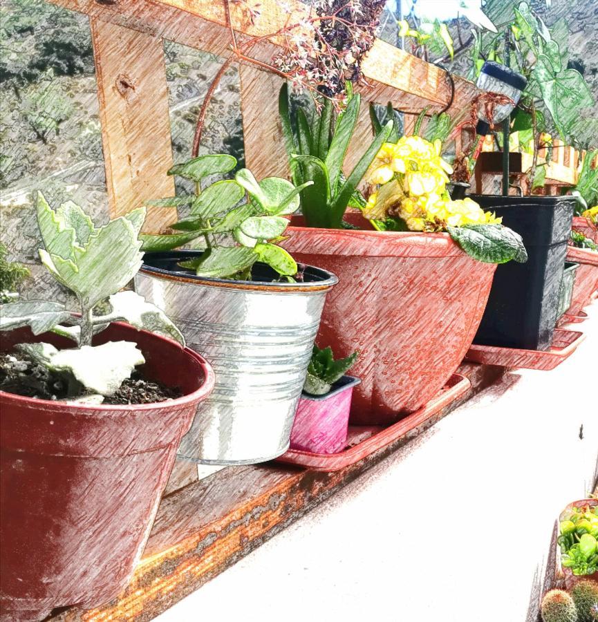 Casa Aguila 2.0 Bed & Breakfast Los Valverde ภายนอก รูปภาพ